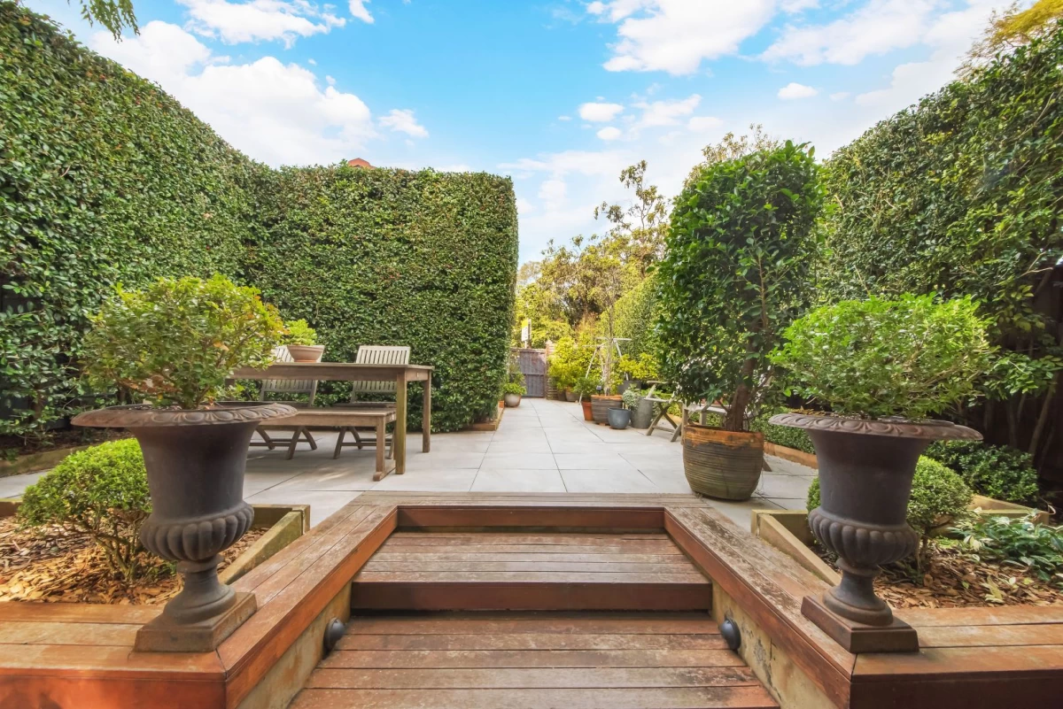 Cosy outdoor patio with hedges, perfect for BBQs, games, gardening, and outdoor meals. - 127 Avenue Road, Mosman, NSW 2088